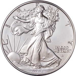 2024-W Burnished American Eagle Silver Dollar Main Image