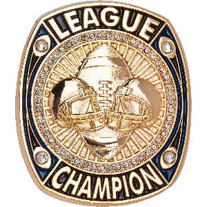Fantasy Football Challenge Coin Main Image