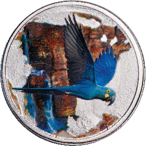 Endangered Species Silver-Plated Round with Folder - Lear's Macaw Main Image