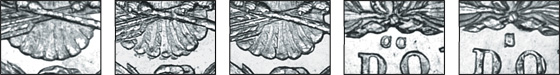 The five first-year varieties of Morgan Silver Dollars, left to right: the 8-feather, the 7 over 8-feather, and the 7-feather, all minted in Philadelphia; the 7-feather CC from Carson City and the 7-feather S from San Francisco.